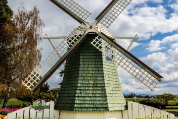 SKAGIT VALLEY TULIP FESTIVAL 2022