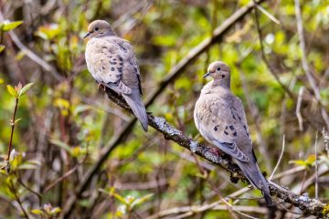 IMG_2384_20220423-scaled