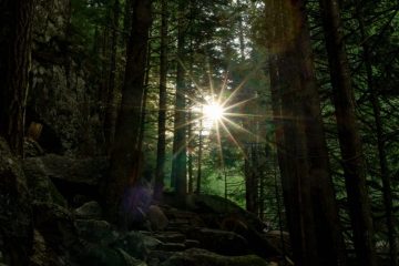 Sunrise on the trail
