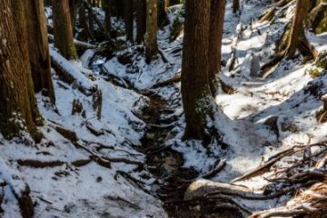 IMG_5322_20210411-scaled