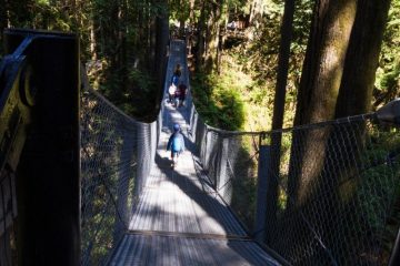 Suspension bridge to Cascade Falls