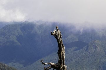 20250817-IMG_3638-scaled