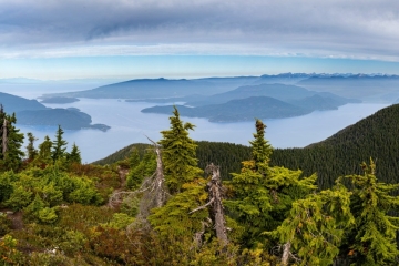 20260808-IMG_4114-Pano-scaled