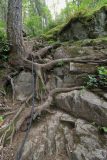 The chain you use to pull yourself up just before the waterfall