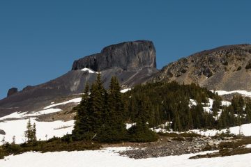 The Black tusk