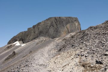 IMG_7045_20230611-scaled