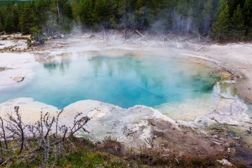 Emerald Spring