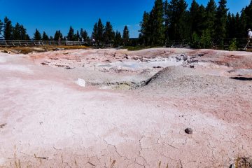 IMG_5640_20220804-scaled