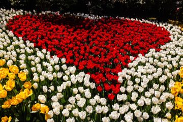 20250417-IMG_0779-scaled