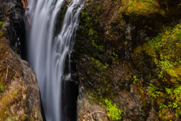 Englishman River Falls