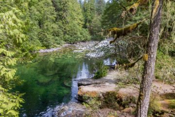Englishman River Falls (Lower Falls)