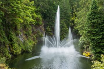 Butchart Gardens