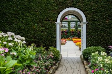 Butchart Gardens