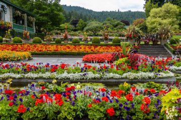 Butchart Gardens