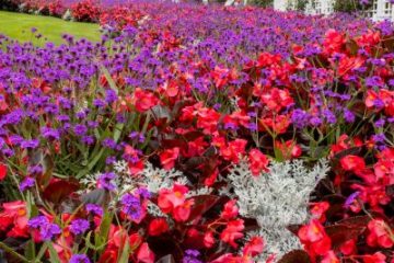 Butchart Gardens
