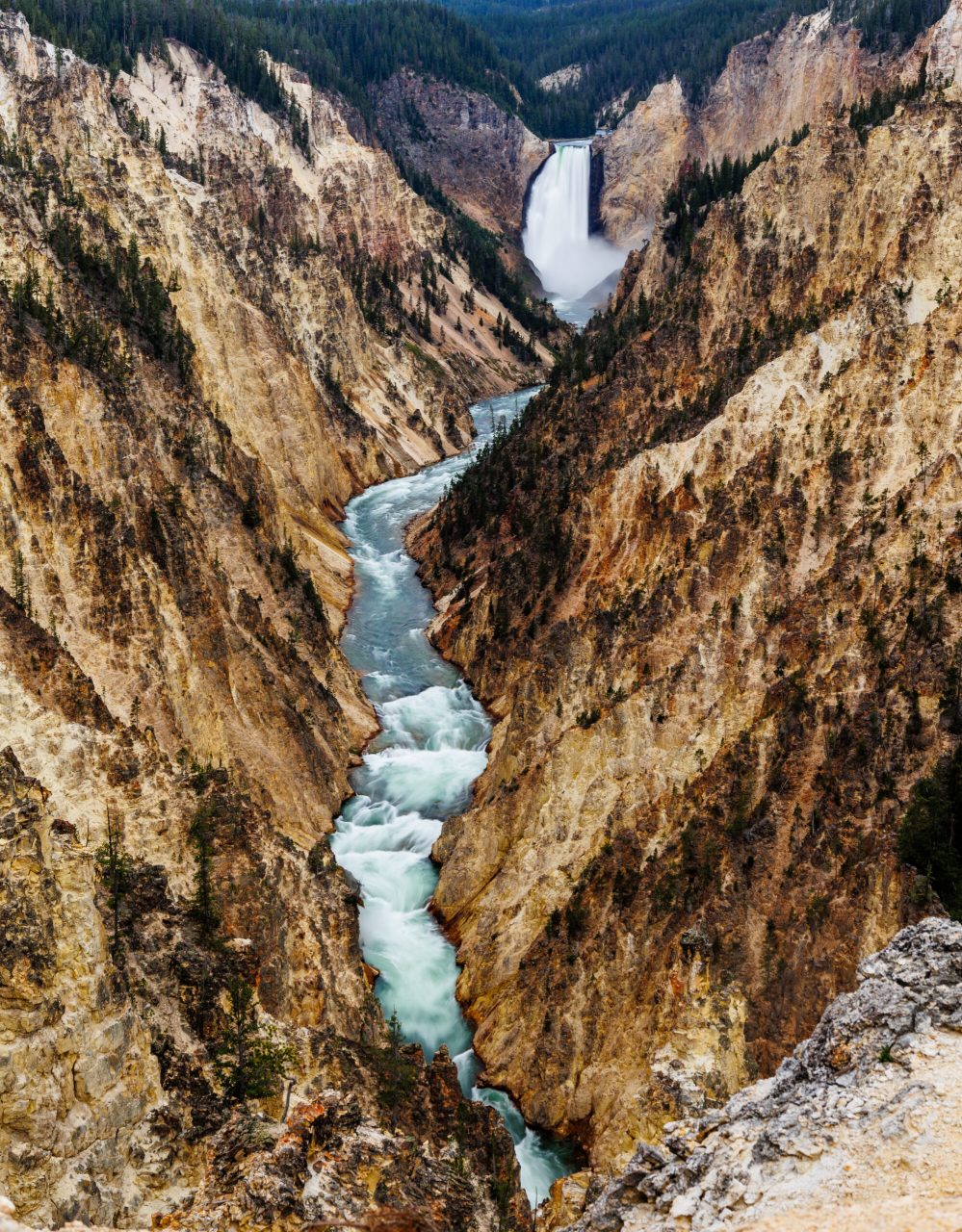 Yellowstone river falls
