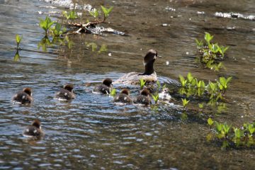 IMG_6857_20200518-scaled