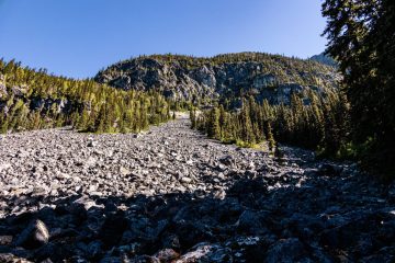 Rock slide on the trail
