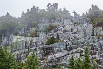 Scramble your way to the base of west lion
