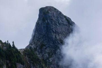 East Lion in the fog