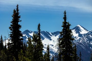 IMG_6223_20230514-scaled