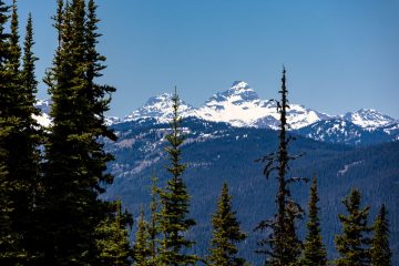 IMG_6225_20230514-scaled