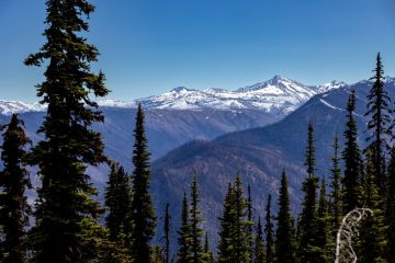 IMG_6237_20230514-scaled