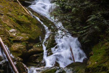 Woodland Falls