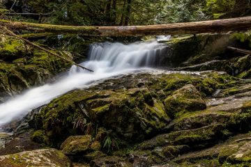 Lower part of the Woodland Falls