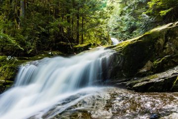 Upper  part of the Woodland Falls