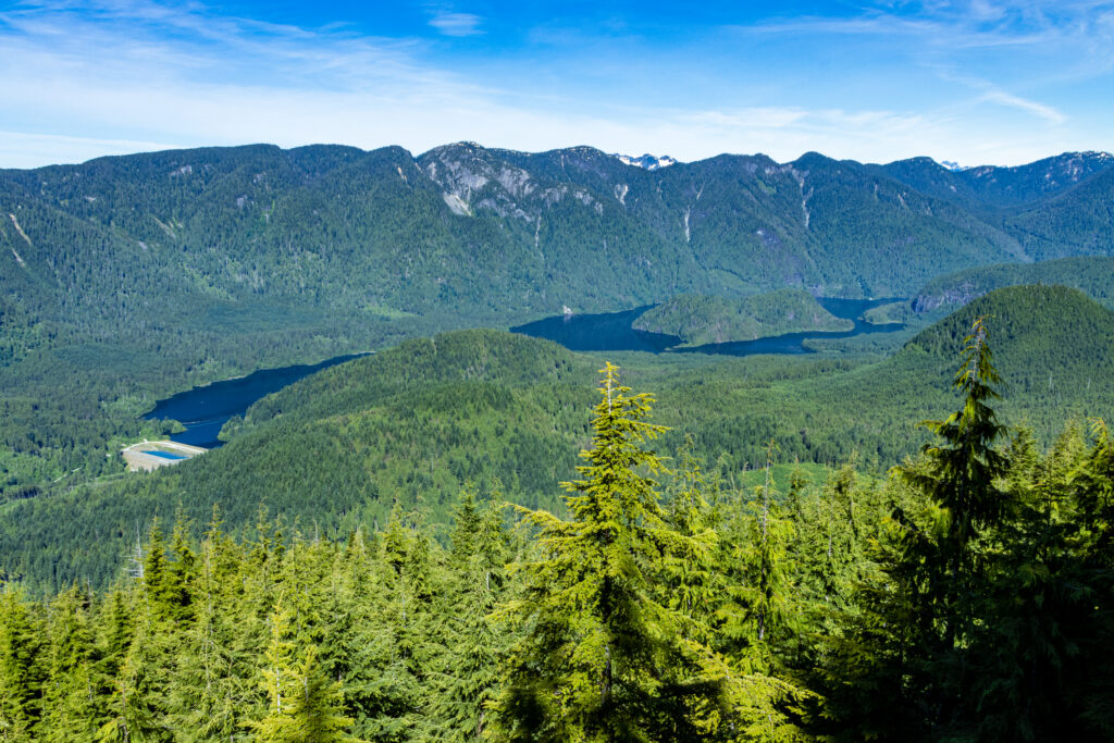 Coquitlam Lake View Trail